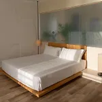 Otel Delfino 4*